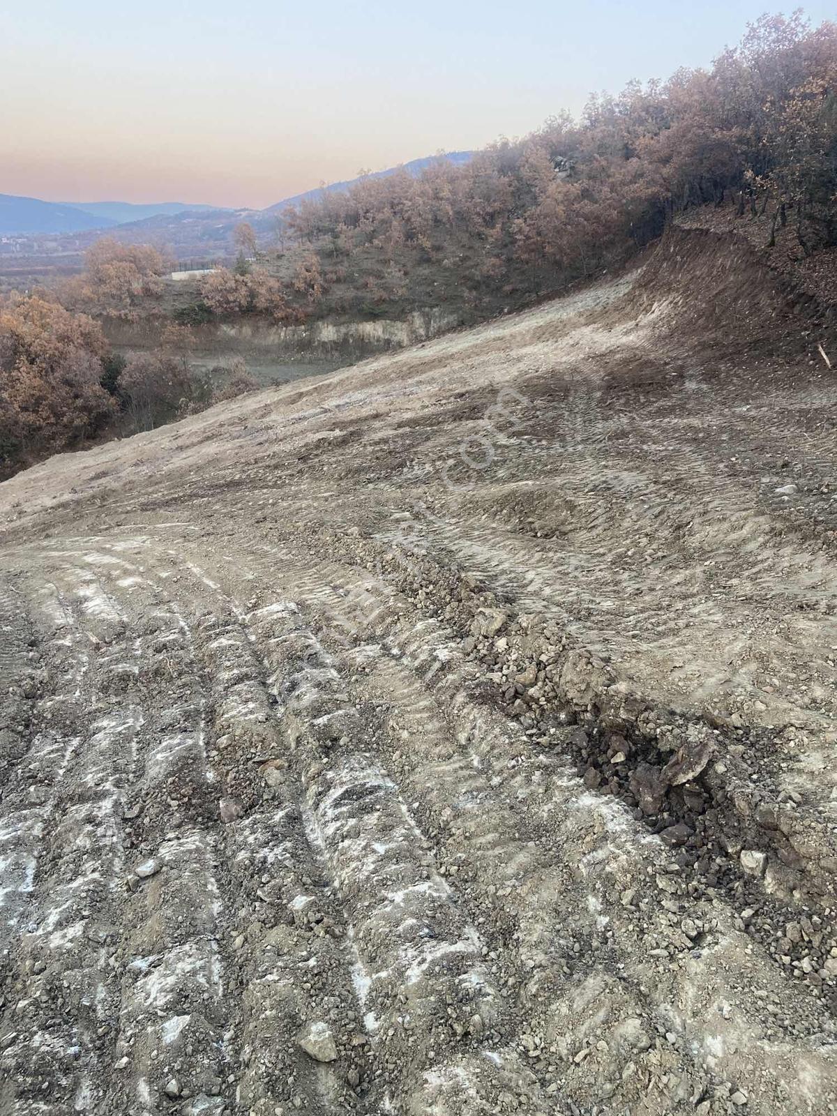 Amasya Merkez Sevıncerde Satılık Tarla 13112 Mk. - Görsel 4