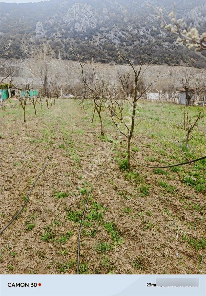 Ziyaret Satılık Bahçe - Görsel 11