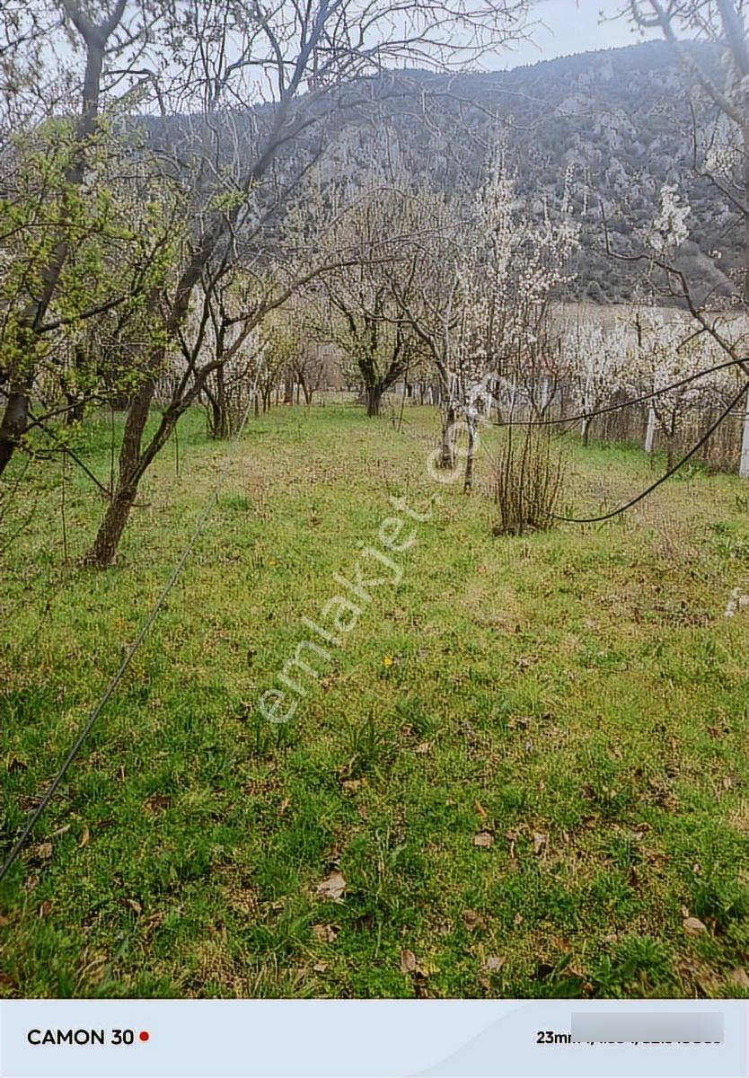 Ziyaret Satılık Bahçe - Görsel 10