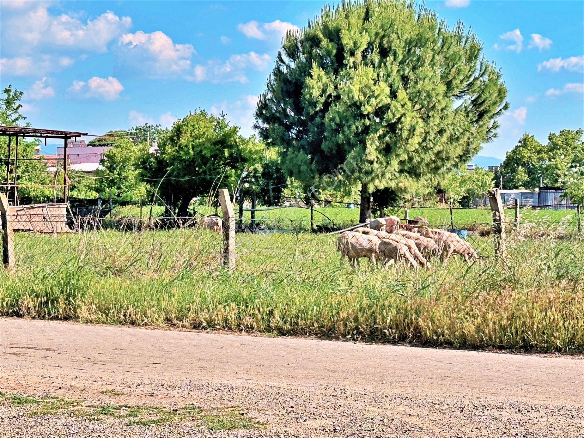 Edremit'te Tek Yetkili Gültaş Emlak'tan Satılık 150 M² 2 Kat İmarlı Arsa - Görsel 22