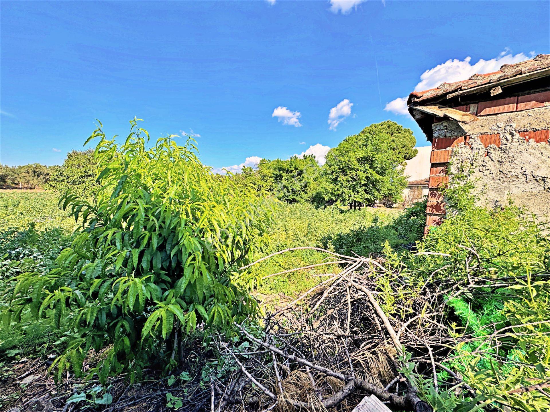 Edremit'te Tek Yetkili Gültaş Emlak'tan Satılık 150 M² 2 Kat İmarlı Arsa - Görsel 6