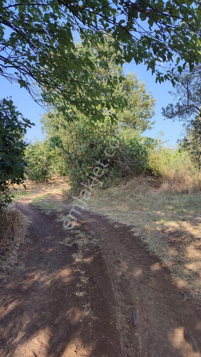 Yalova Üzerinde 1663m2 Yola Yakın Yatırım Fırsatı - Görsel 4