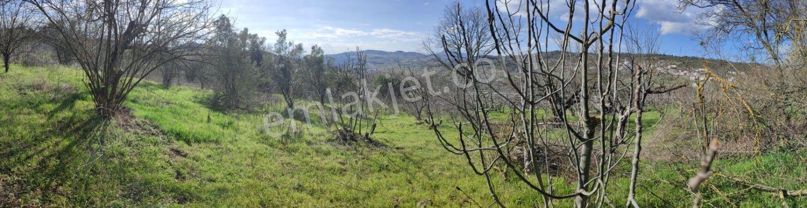 Yalova Üzerinde 1663m2 Yola Yakın Yatırım Fırsatı - Görsel 7