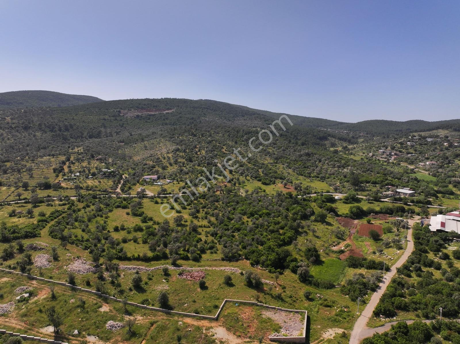 Bodrum Çamlık'da 400m² Kooperatif Hisseli Tarla - Görsel 7