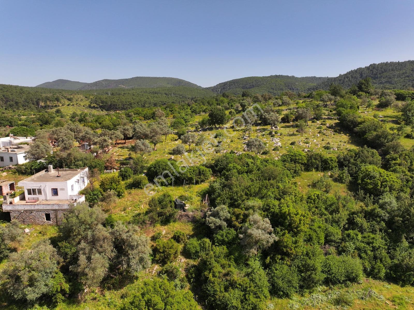 Bodrum Çamlık'da 400m² Kooperatif Hisseli Tarla - Görsel 15