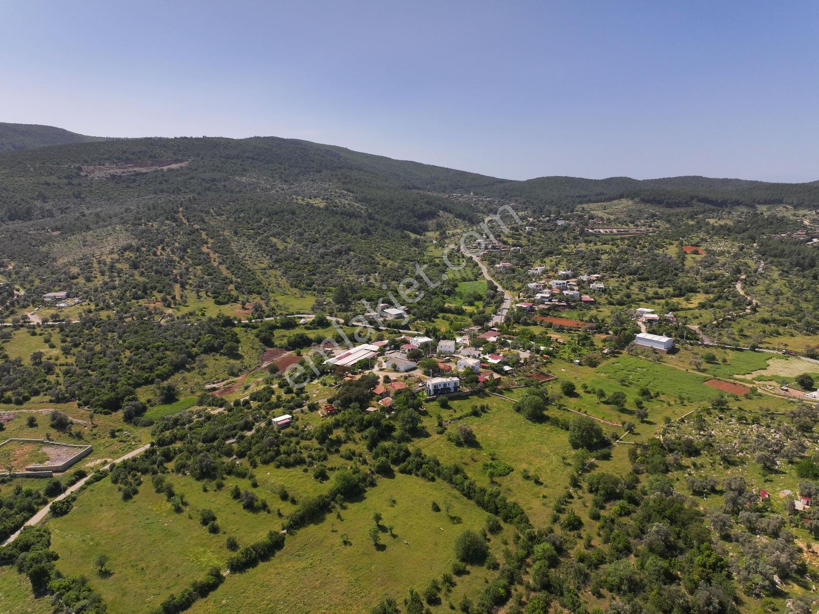 Bodrum Çamlık'da 400m² Kooperatif Hisseli Tarla - Görsel 2