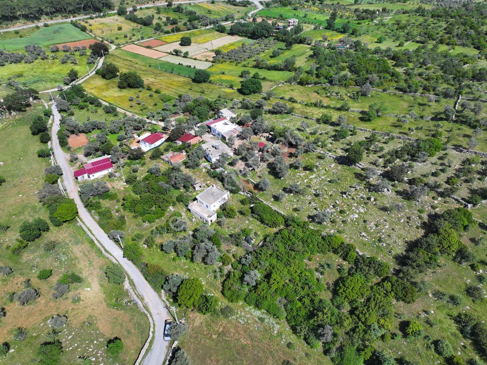 Bodrum Çamlık'da 400m² Kooperatif Hisseli Tarla - Görsel 8