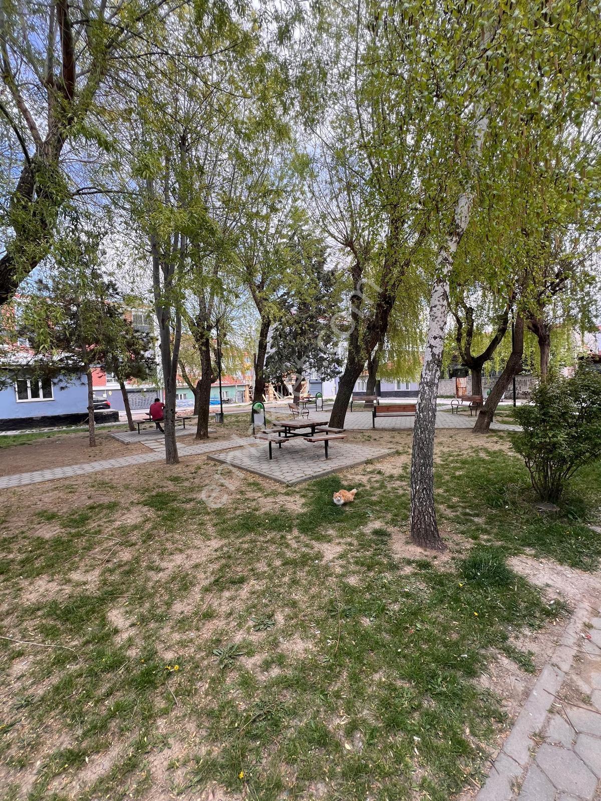 Asansörlü Sütlüce'de 1+1 Satılık Daire