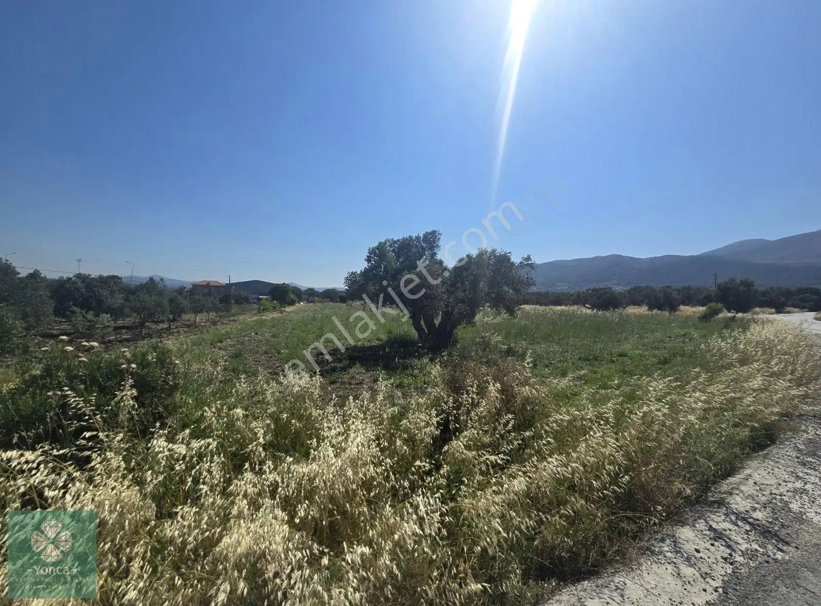 Soma Avdan Mahallesi İmar Yakını Satılık Tarla - Görsel 2