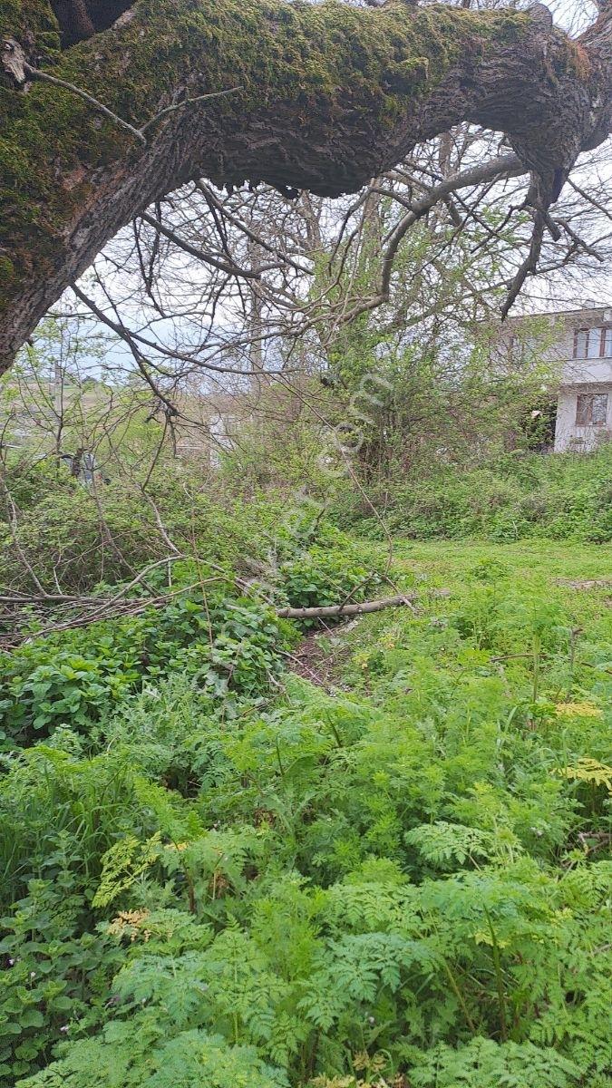Sakarya Kaynarca İmarlı Arsa - Görsel 3