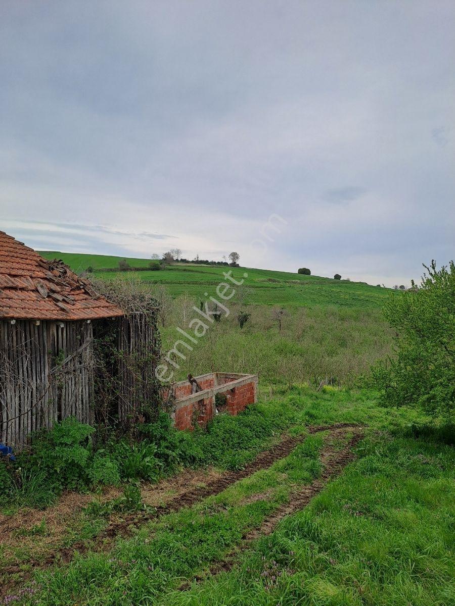 Sakarya Kaynarca İmarlı Arsa - Görsel 14
