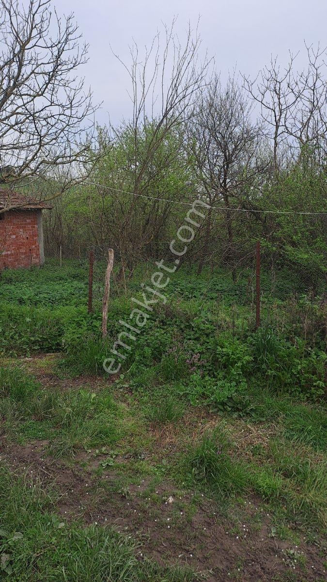 Sakarya Kaynarca İmarlı Arsa - Görsel 16