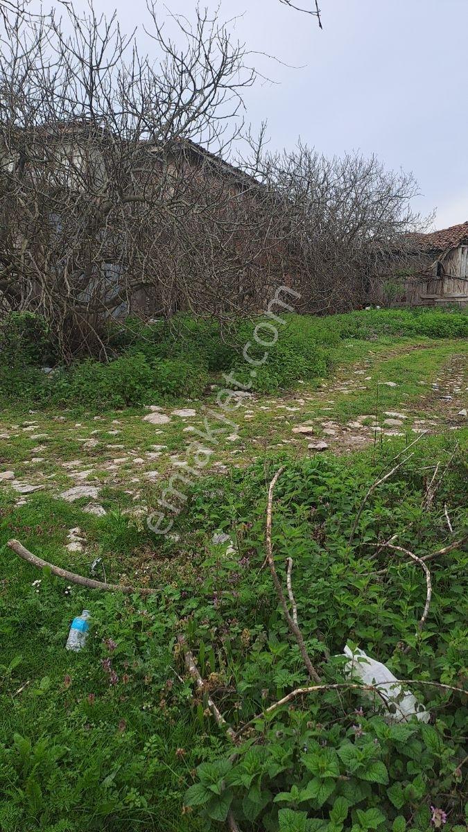 Sakarya Kaynarca İmarlı Arsa - Görsel 5