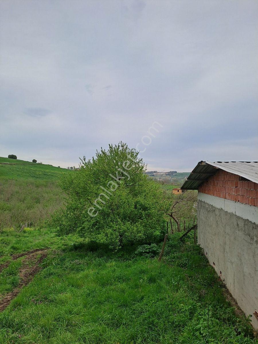 Sakarya Kaynarca İmarlı Arsa - Görsel 11