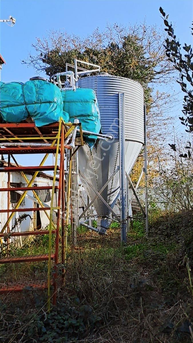 Kaynarca,%40 İmarlı ,600 M2 Çiftlik 2 Katlı Ev - Görsel 2