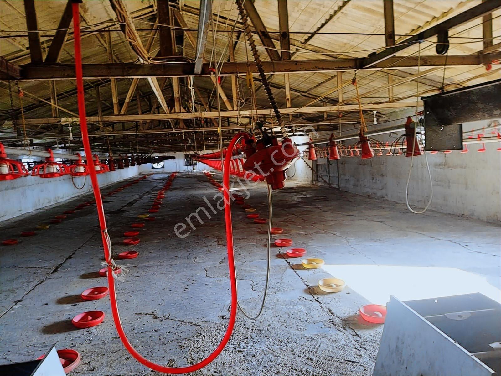 Kaynarca,%40 İmarlı ,600 M2 Çiftlik 2 Katlı Ev - Görsel 5