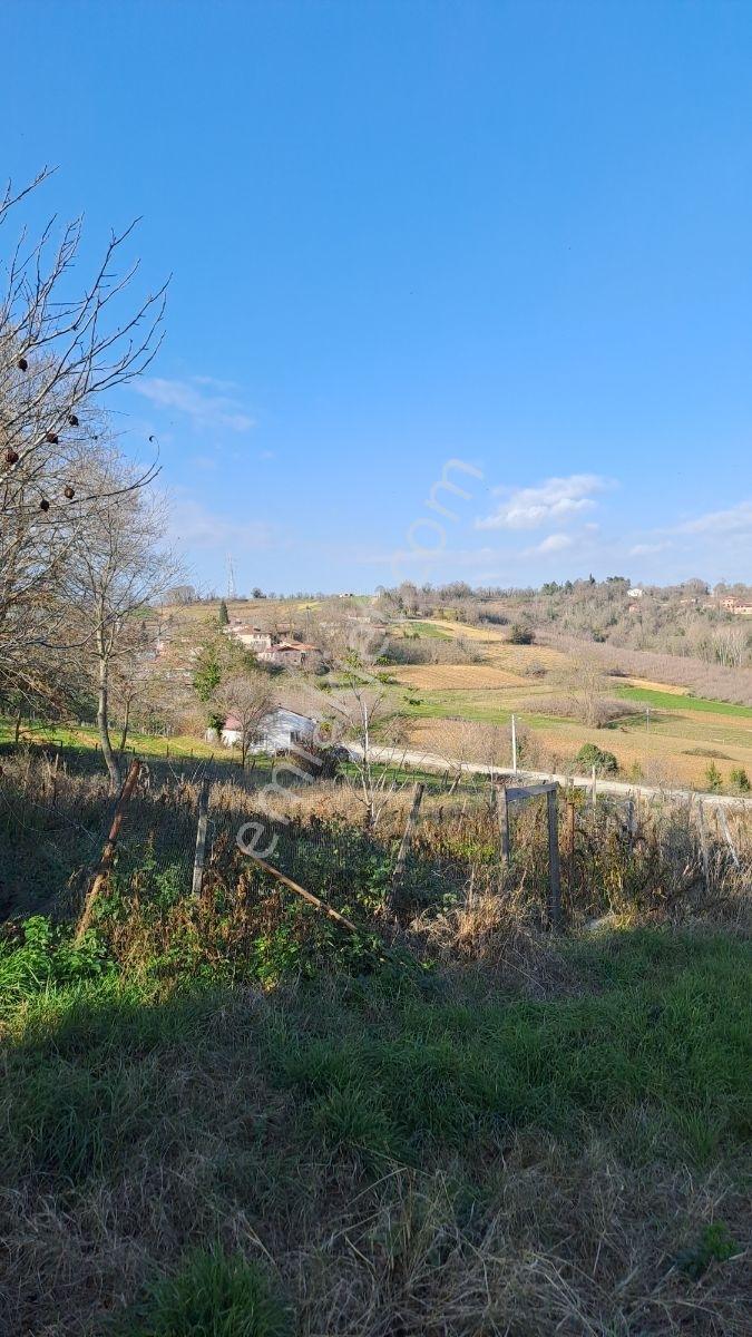 Kaynarca,%40 İmarlı ,600 M2 Çiftlik 2 Katlı Ev - Görsel 16