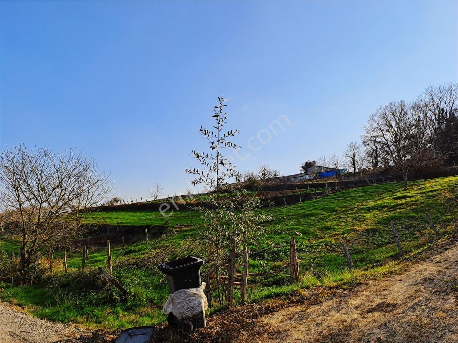 Kaynarca,%40 İmarlı ,600 M2 Çiftlik 2 Katlı Ev - Görsel 12