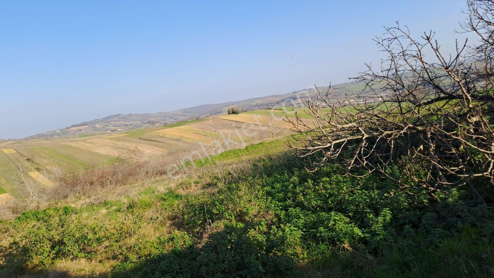 Kaynarca,%40 İmarlı ,600 M2 Çiftlik 2 Katlı Ev - Görsel 17