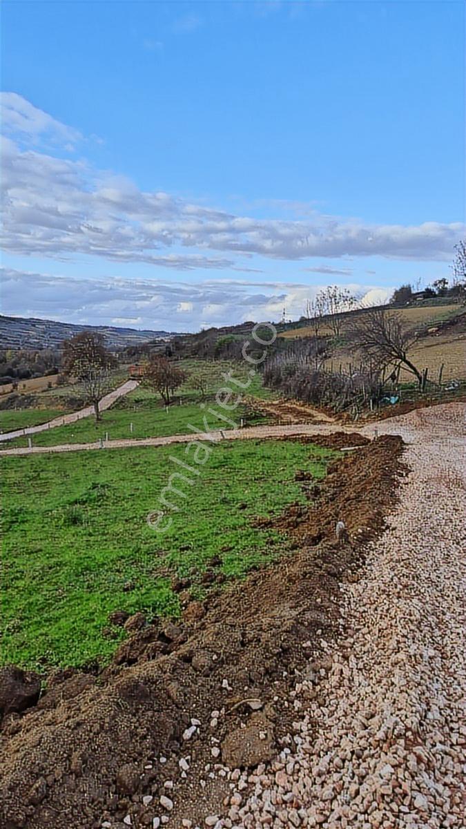 Sakarya Kaynarca %40 İmarlı Arsa Osb - Görsel 7