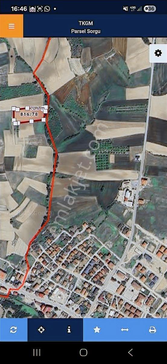 Kaynarca'da Tarla - Görsel 15