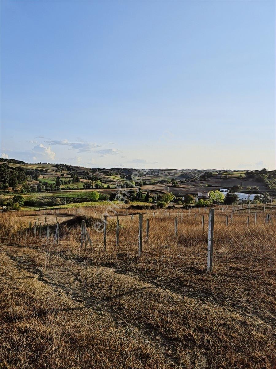 Kaynarca,kertil,arsa,bungalov Ev 500 M2 - Görsel 15