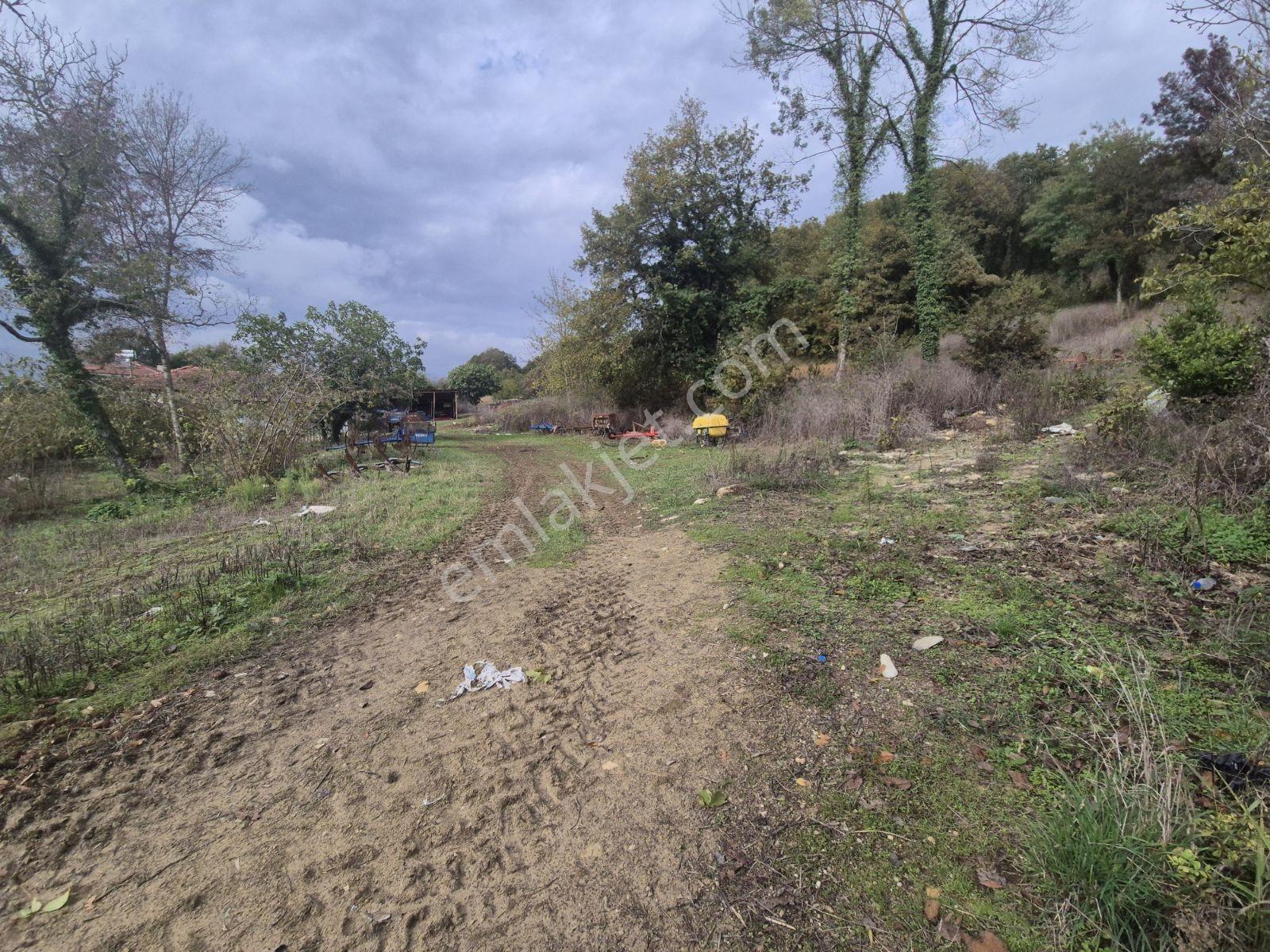 Şeyhtımar Mah,1140 M2,yollu Arsa - Görsel 17
