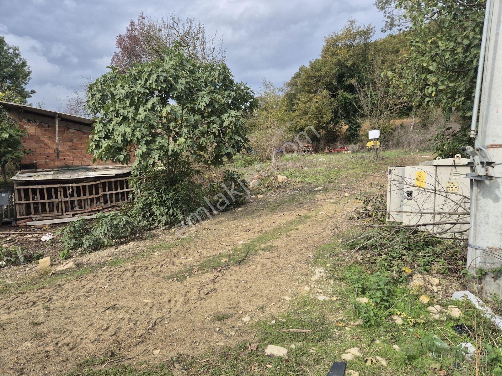 Şeyhtımar Mah,1140 M2,yollu Arsa - Görsel 18
