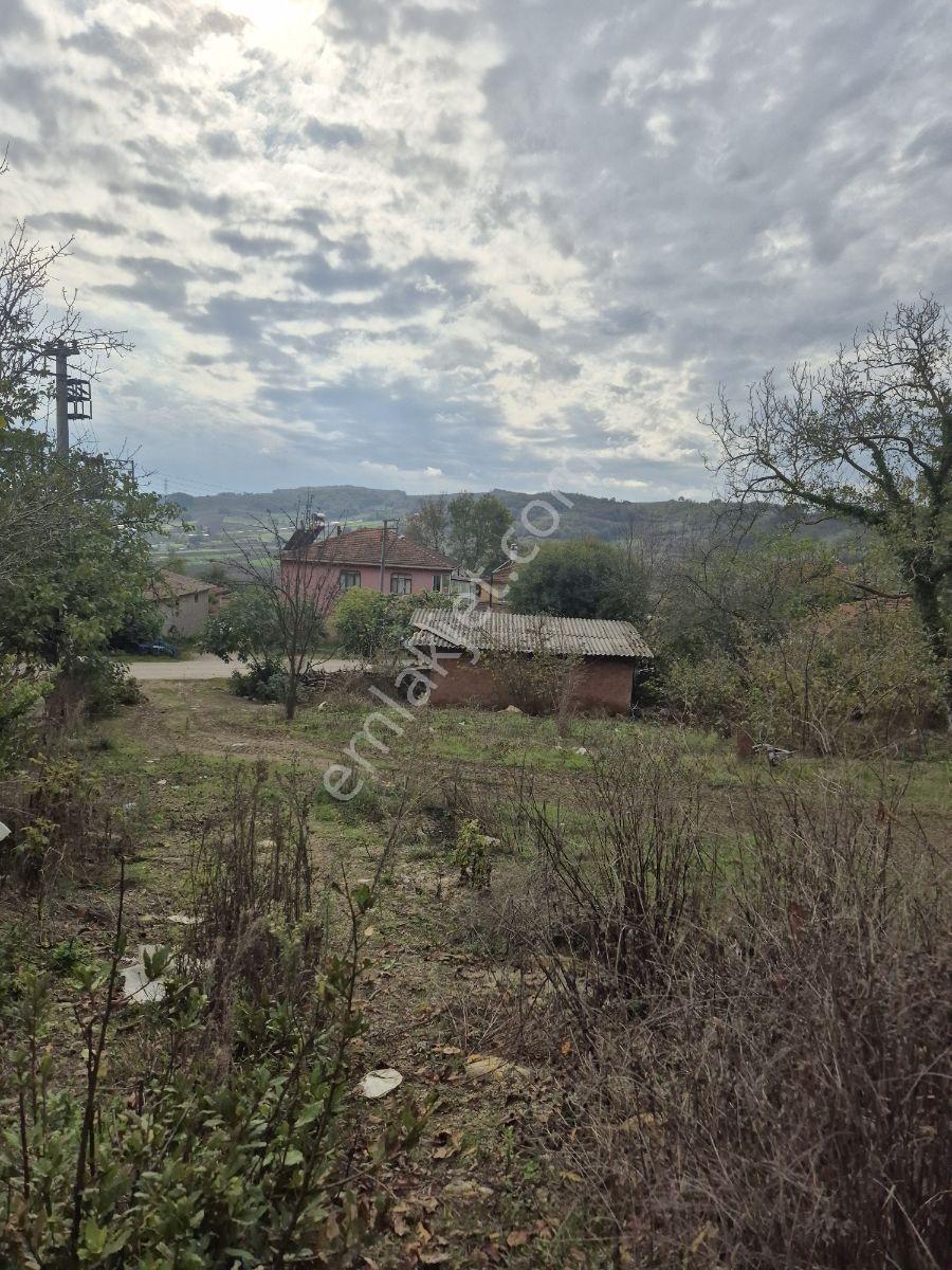 Şeyhtımar Mah,1140 M2,yollu Arsa - Görsel 4