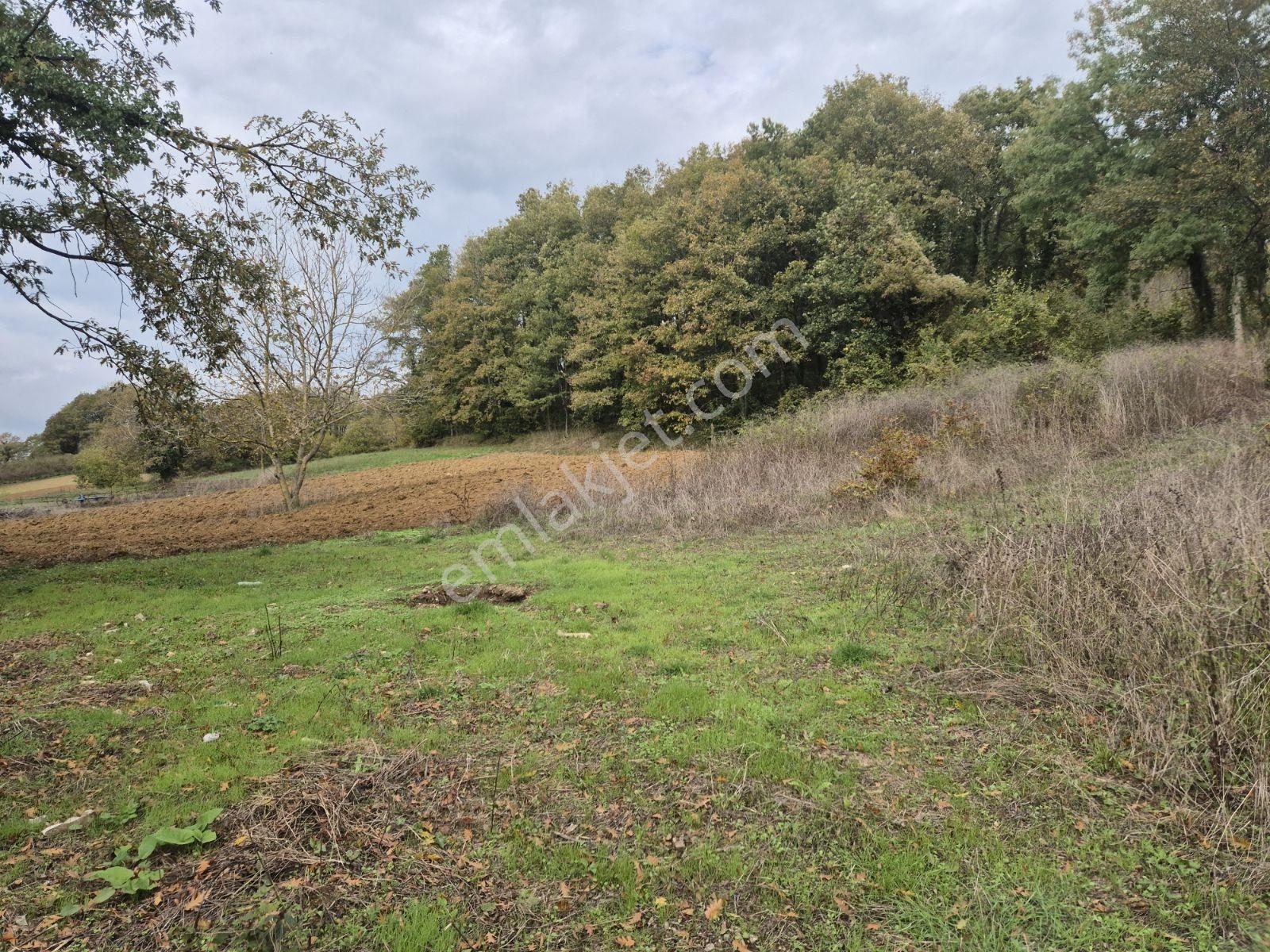Şeyhtımar Mah,1140 M2,yollu Arsa - Görsel 15