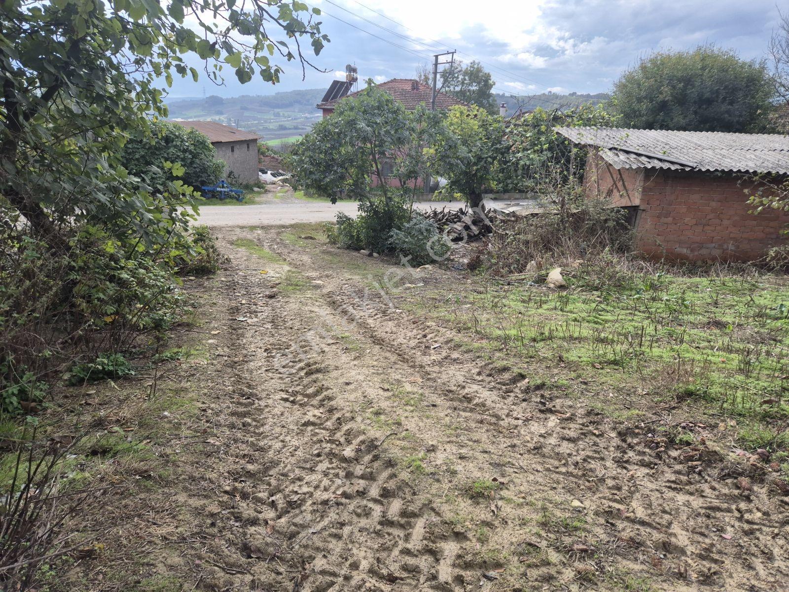 Şeyhtımar Mah,1140 M2,yollu Arsa - Görsel 7