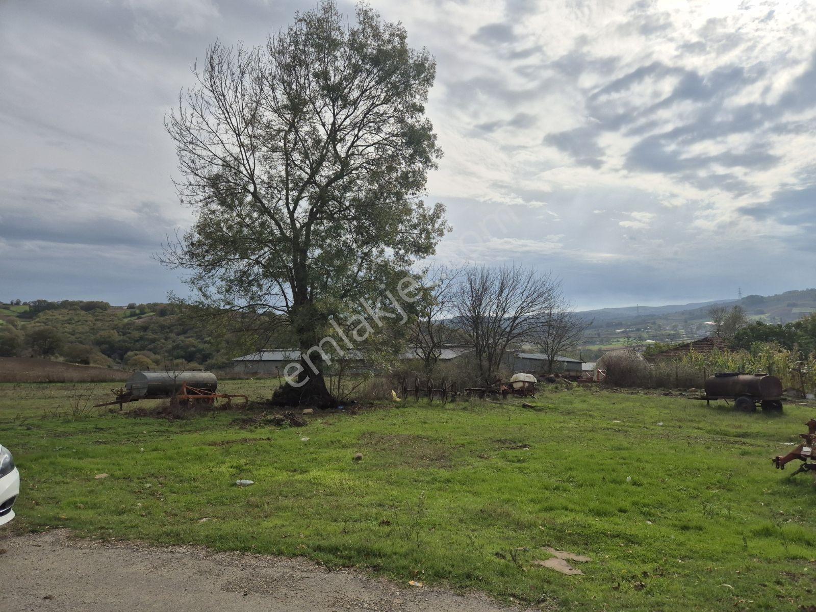 Şeyhtımar Mah,1140 M2,yollu Arsa - Görsel 10