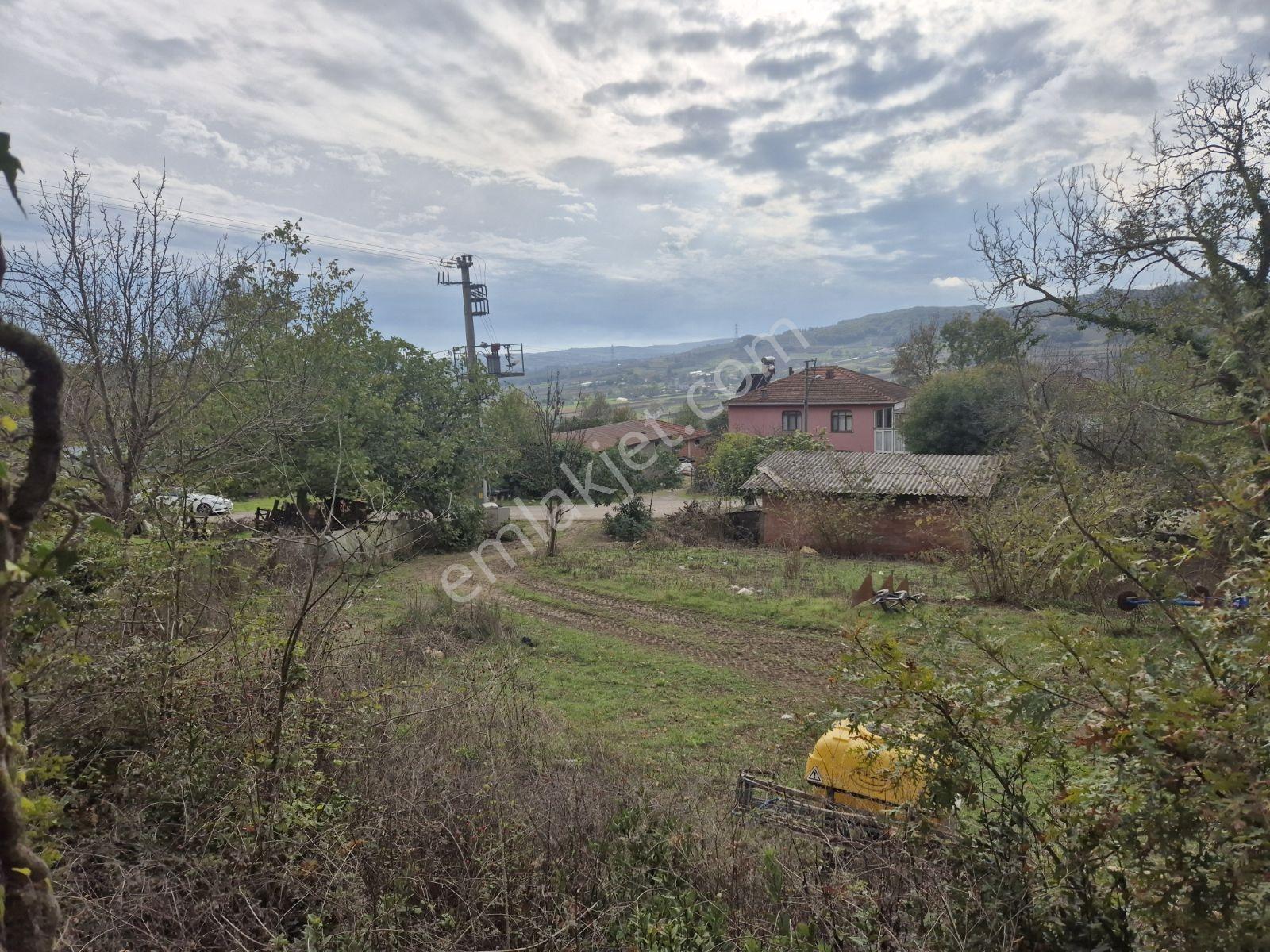 Şeyhtımar Mah,1140 M2,yollu Arsa - Görsel 5