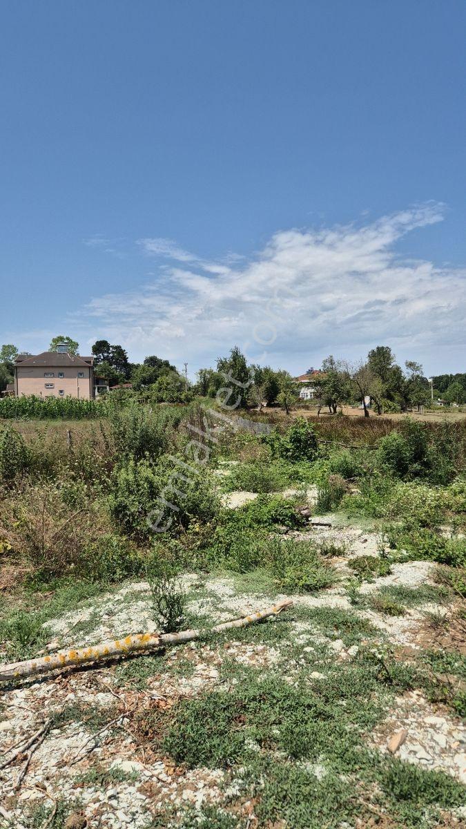Kaynarca Ortaköy,yullu Tarla - Görsel 15