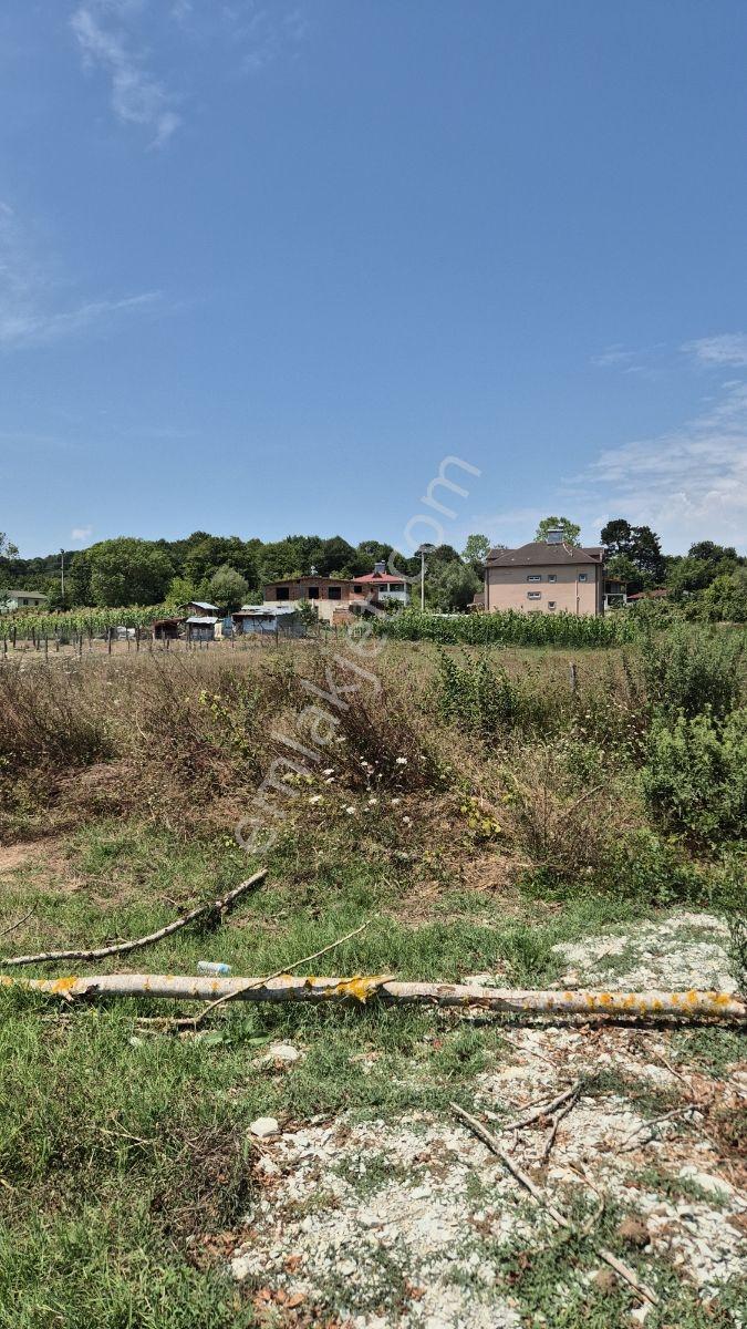 Kaynarca Ortaköy,yullu Tarla - Görsel 14