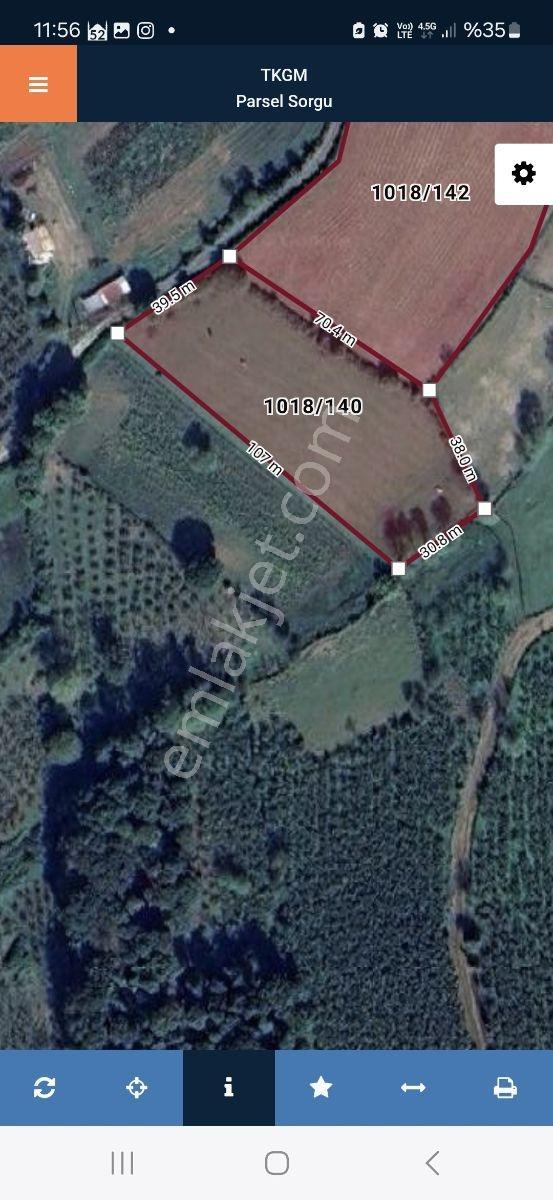 Kaynarca İşaret,4357m2 Yollu Tarla - Görsel 2