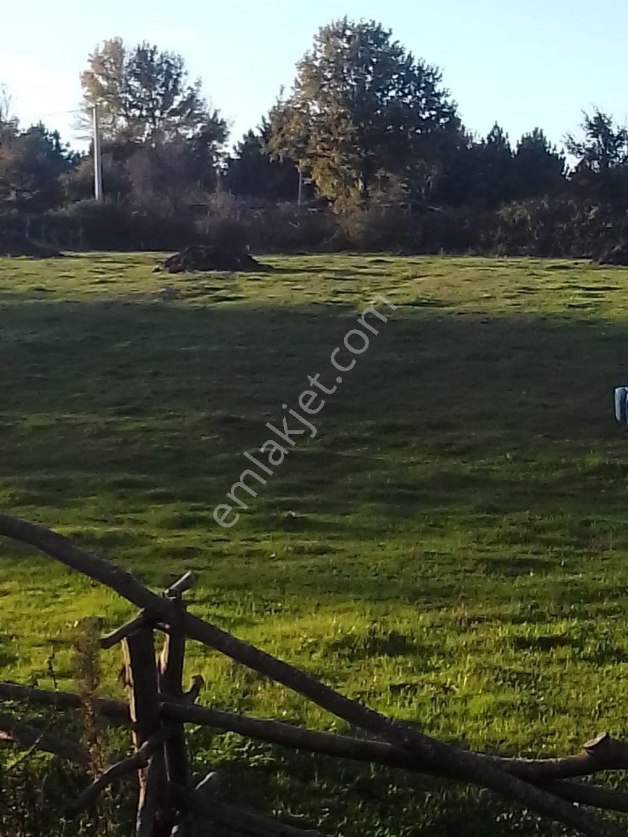 Kaynarca İşaret,4357m2 Yollu Tarla - Görsel 15