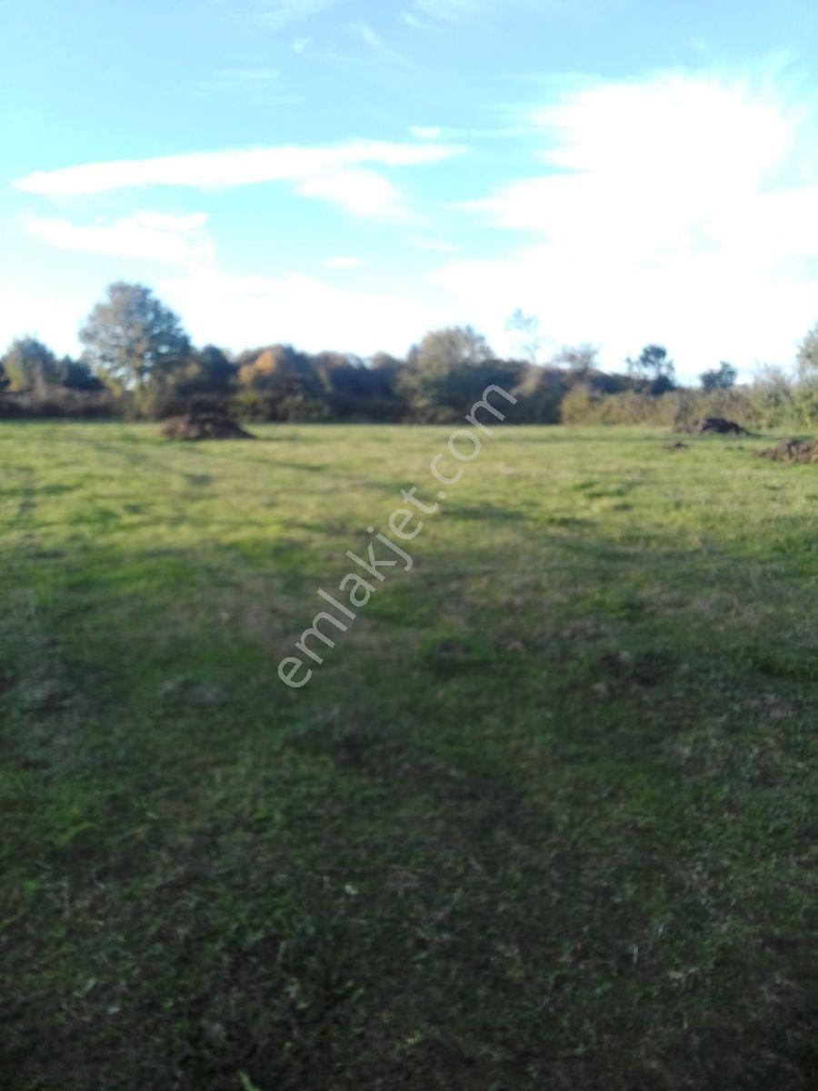 Kaynarca İşaret,4357m2 Yollu Tarla - Görsel 19