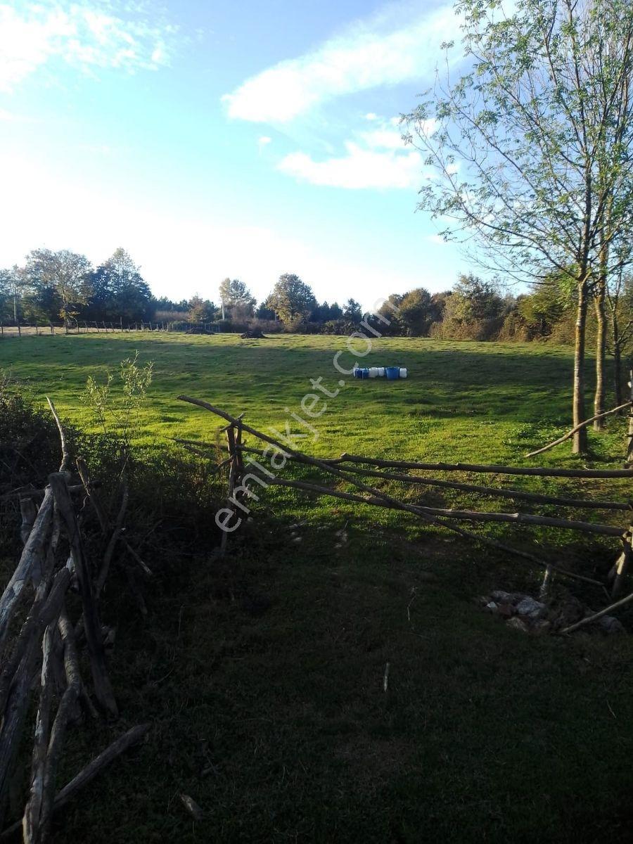 Kaynarca İşaret,4357m2 Yollu Tarla - Görsel 12