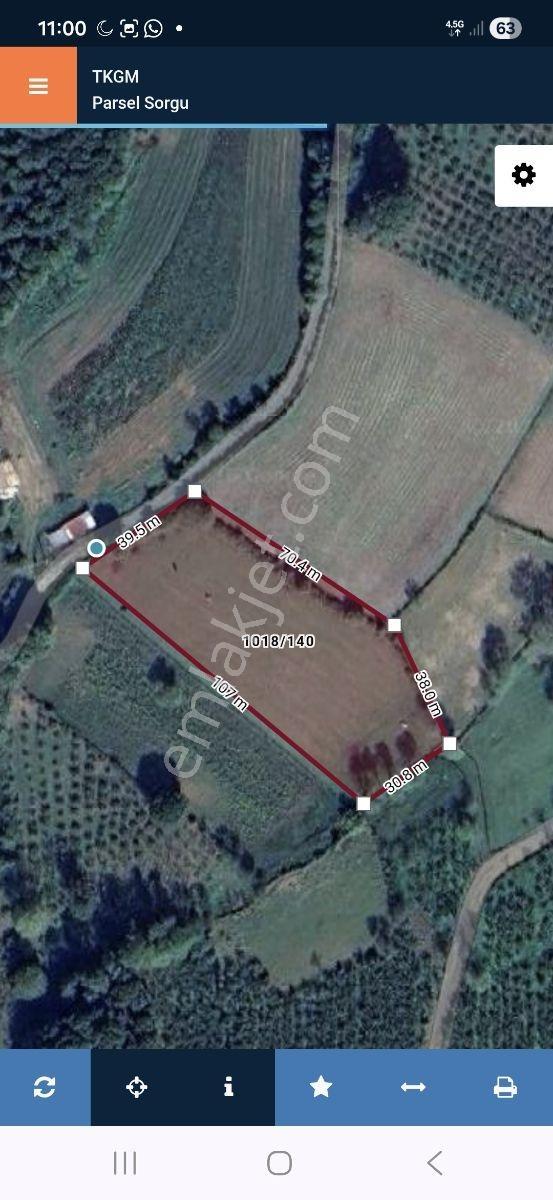 Kaynarca İşaret,4357m2 Yollu Tarla - Görsel 13