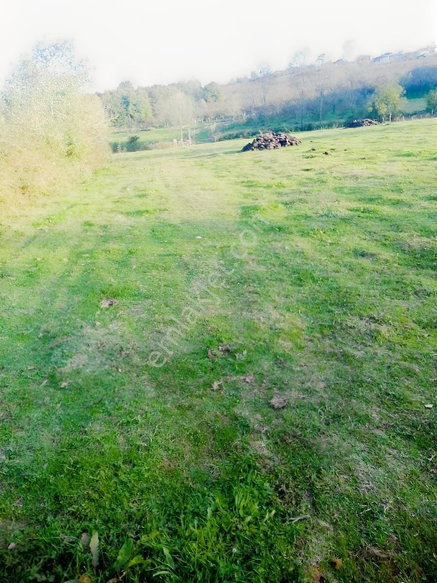Kaynarca İşaret,4357m2 Yollu Tarla - Görsel 24