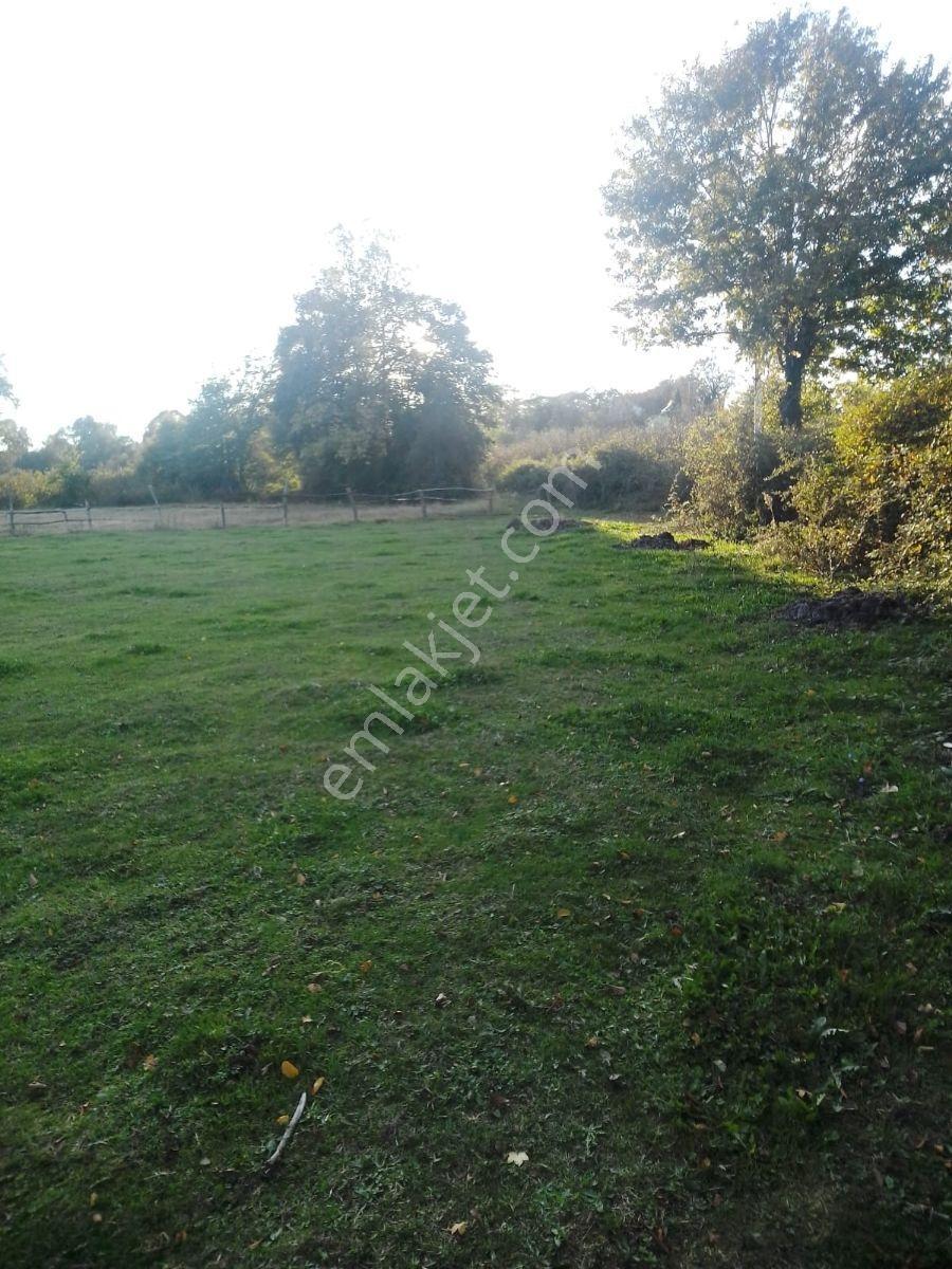 Kaynarca İşaret,4357m2 Yollu Tarla - Görsel 5
