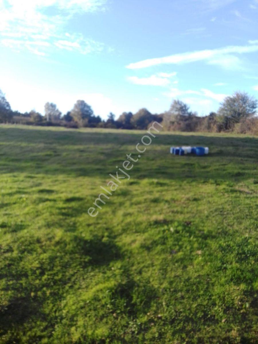 Kaynarca İşaret,4357m2 Yollu Tarla - Görsel 17