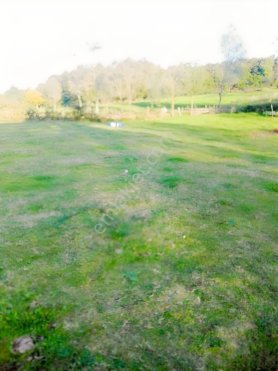 Kaynarca İşaret,4357m2 Yollu Tarla - Görsel 20