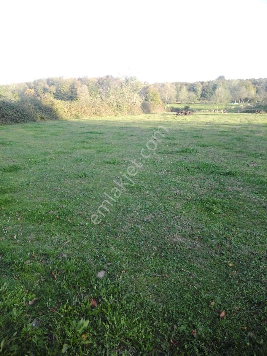 Kaynarca İşaret,4357m2 Yollu Tarla - Görsel 18