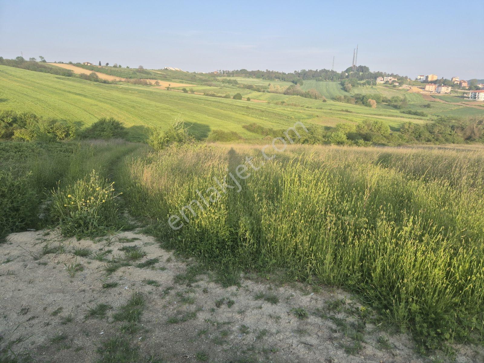 İlçe Hastane Yanı 450 M2 Arsa - Görsel 4