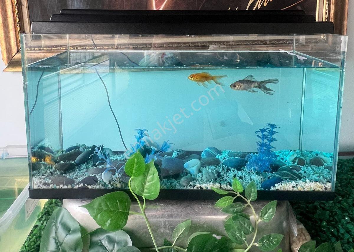 Çiğli Balatçık'ta Devren Kiralık Et Lokantası - Görsel 8