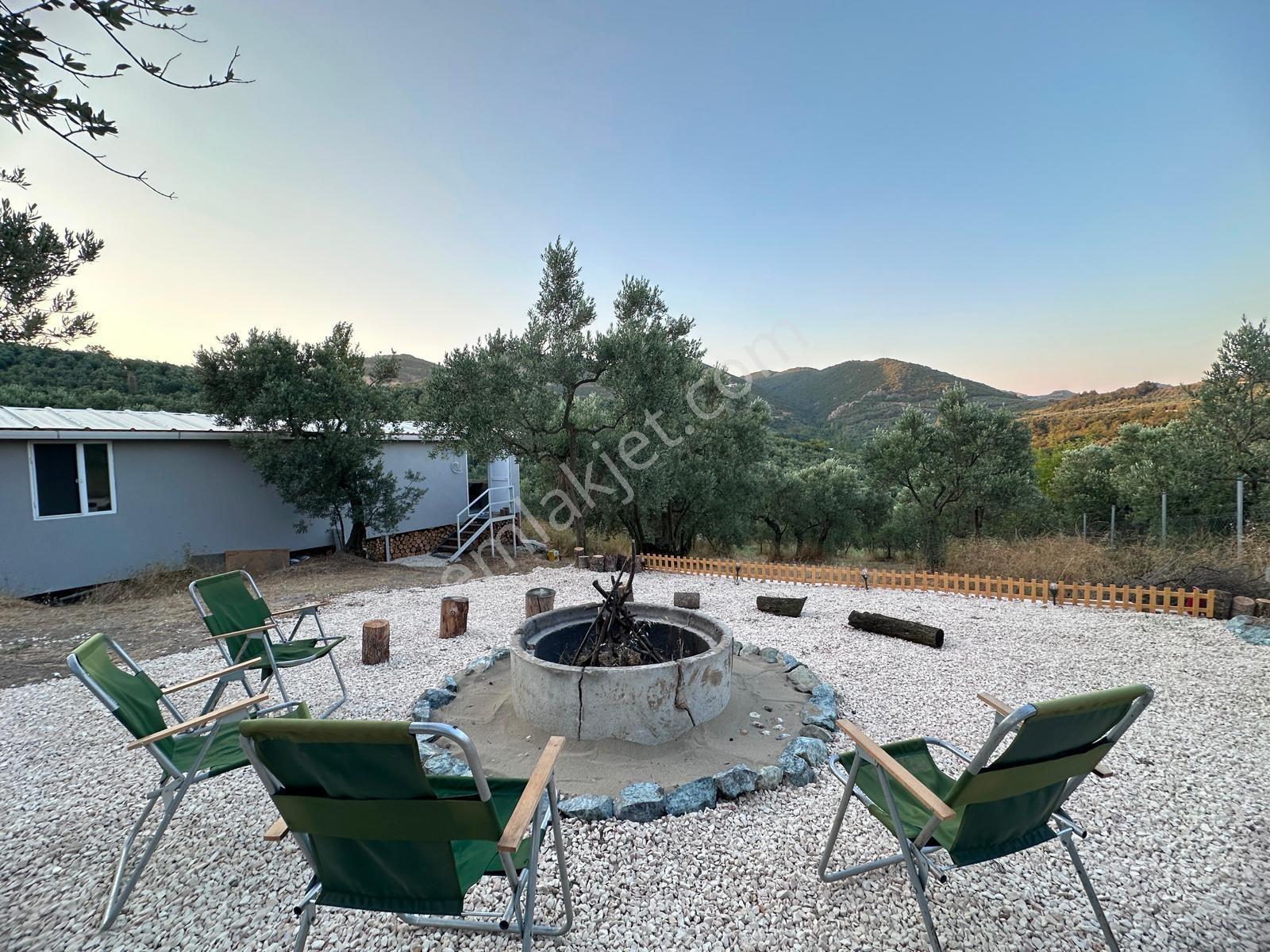 Remax Advantage Mirzaoba Köye 150m, 45m2 Bağ Evi Olan Zeytinlik - Görsel 2