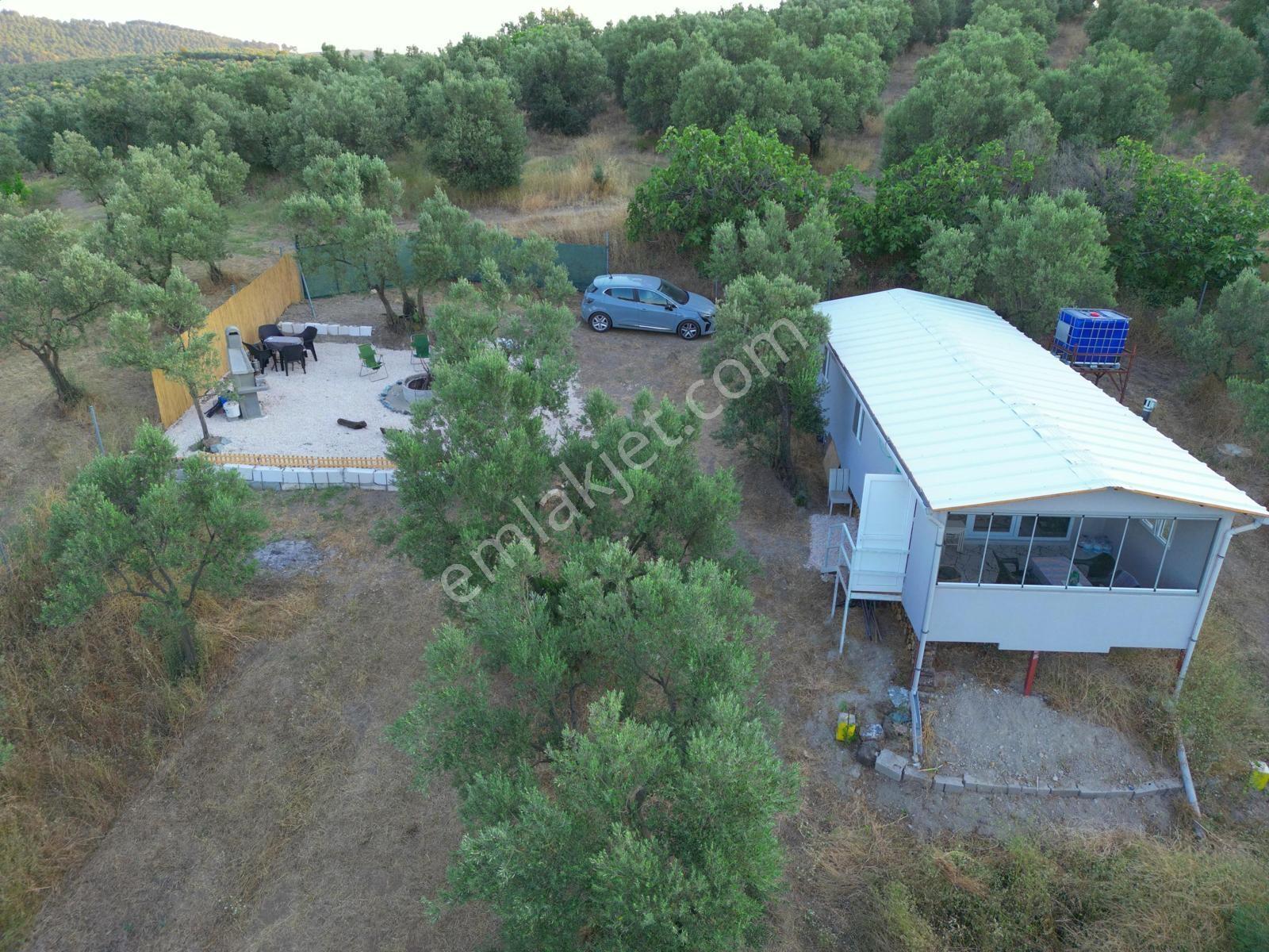Remax Advantage Mirzaoba Köye 150m, 45m2 Bağ Evi Olan Zeytinlik - Görsel 8