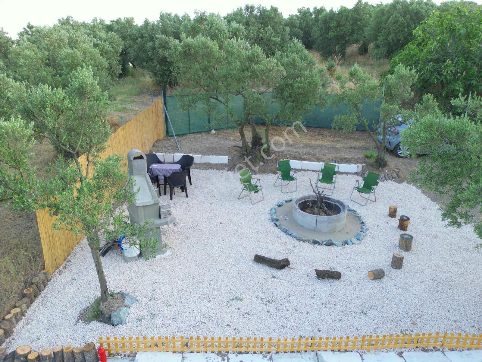 Remax Advantage Mirzaoba Köye 150m, 45m2 Bağ Evi Olan Zeytinlik - Görsel 6